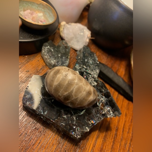 Petoskey stone - Picture 2 of 5